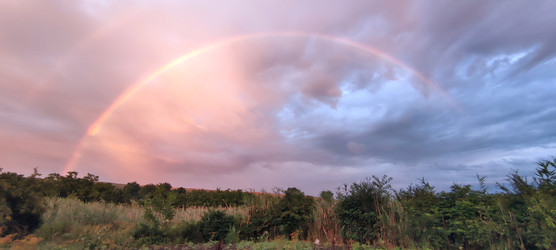 Similar image 22381993