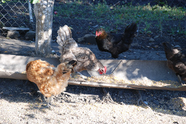 Similar image 22382009