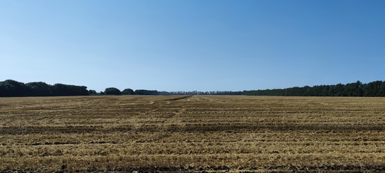 Similar image 22382010