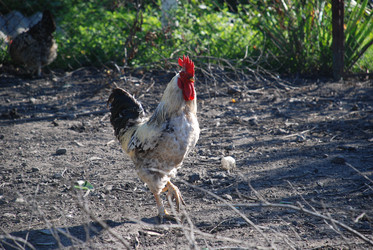 Similar image 22381921