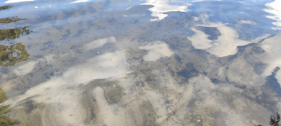 Similar image 22381922