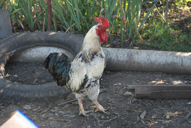 Similar image 22381924