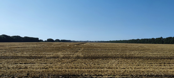 Similar image 22381930