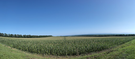 Similar image 22381934