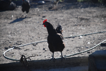 Similar image 22381935