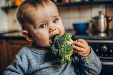 Similar image 22390182