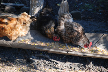 Similar image 22381965