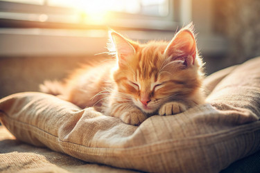 Similar image 22392863