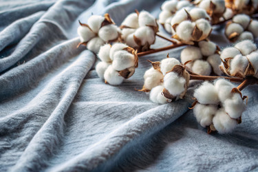 Similar image 22386276