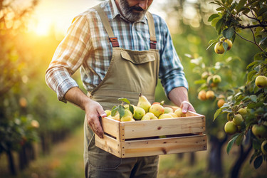 Similar image 22385851