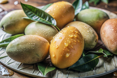 Similar image 22391059