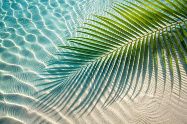 Similar image 22391606