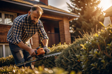 Similar image 22386279