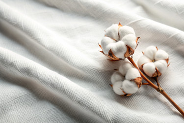 Similar image 22386873