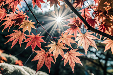 Similar image 22387883