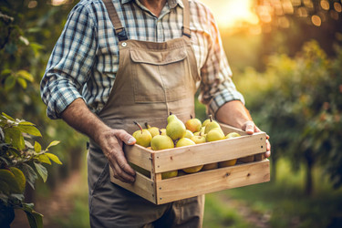 Similar image 22391021