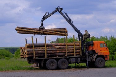 Similar image 22387666