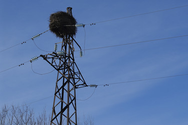 Similar image 22387680