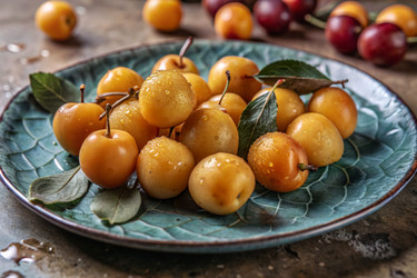 Similar image 22386010