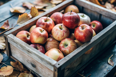 Similar image 22393326