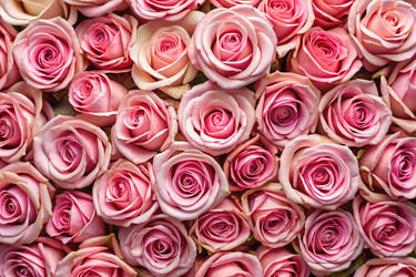 Similar image 22391391