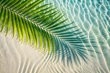 Similar image 22386521