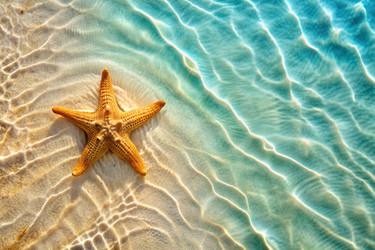 Similar image 22389107