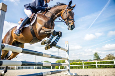 Similar image 22389309