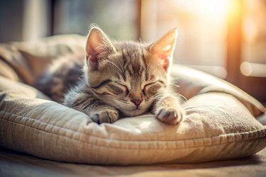 Similar image 22389892