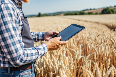 Similar image 22386928