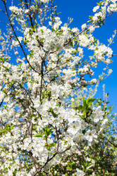 Similar image 22381635