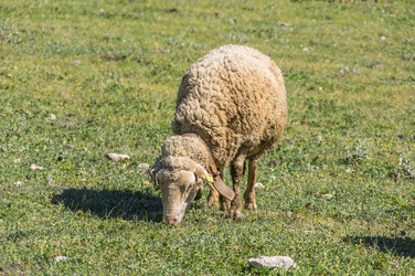 Similar image 22381643