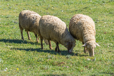 Similar image 22381674