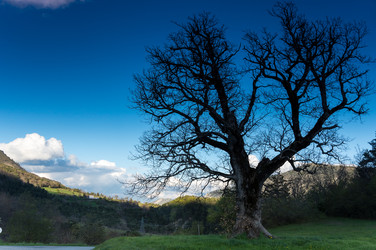 Similar image 22381679