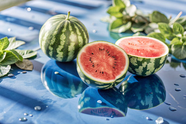 Similar image 22388501