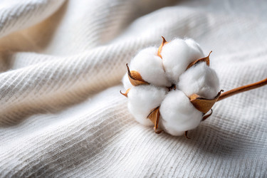 Similar image 22394953