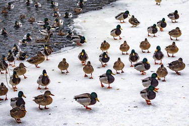 Similar image 22387832