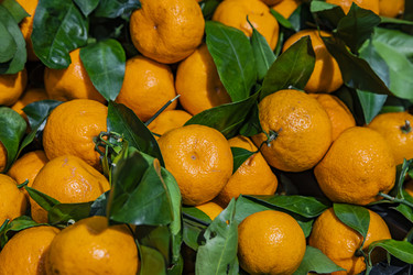 Similar image 22381599