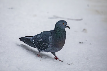 Similar image 22387833