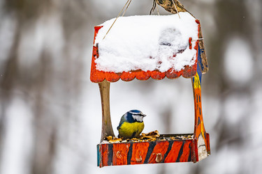 Similar image 22387834