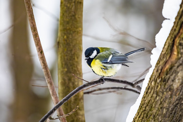 Similar image 22387836