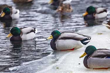 Similar image 22387837