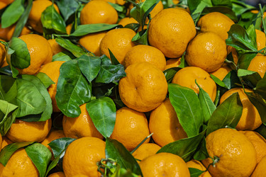 Similar image 22381600