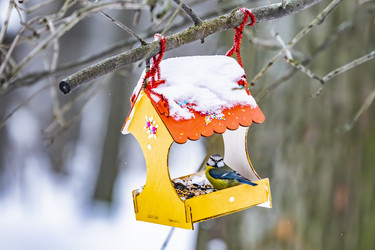 Similar image 22387852