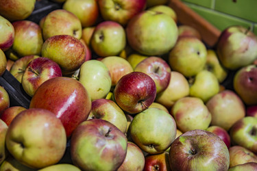 Similar image 22387854