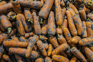 Similar image 22381601