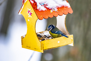 Similar image 22387858