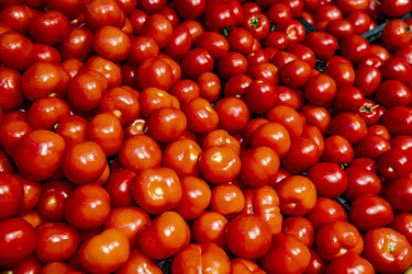 Similar image 22387805