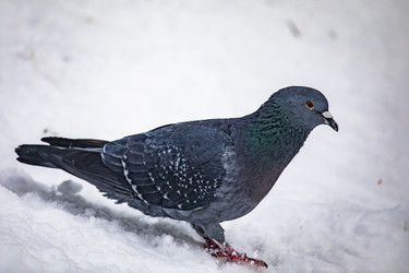 Similar image 22387808