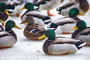 Similar image 22387810